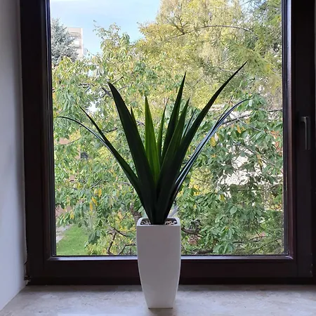 Studio Lesne Iii Apartment