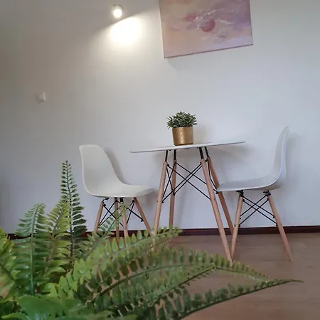 Studio Lesne Iii Apartment Gdansk
