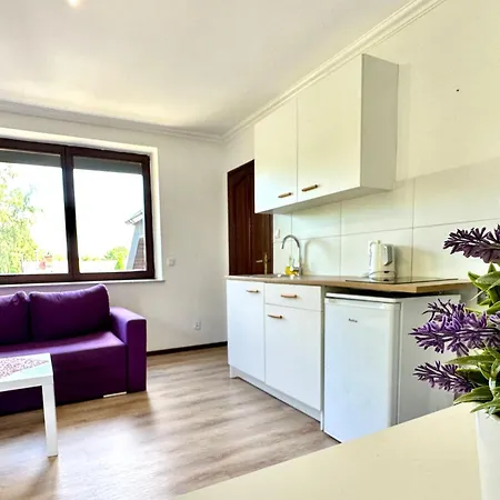 Apartment Studio Lesne Iii *