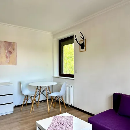 Apartment Studio Lesne Iii *