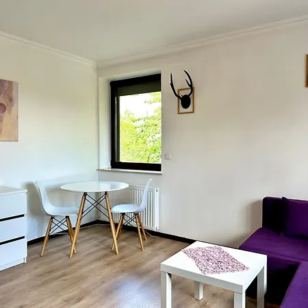 Apartment Studio Lesne Iii *
