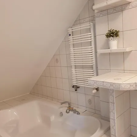 Apartment Studio Lesne Iii