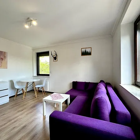 Apartment Studio Lesne Iii
